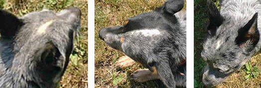 19987601_1916213625286544_880365987_n