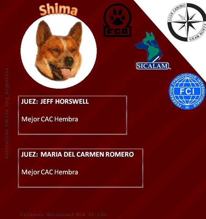 20476192_717381588461141_3465774791381692231_n