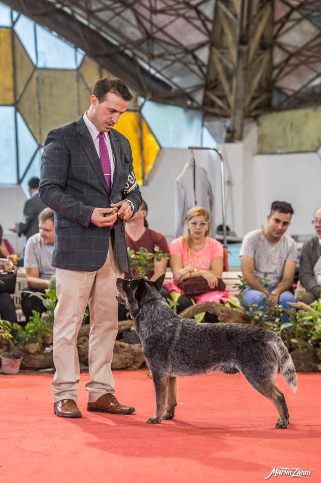 20621128_721237358075564_230414810220328364_n