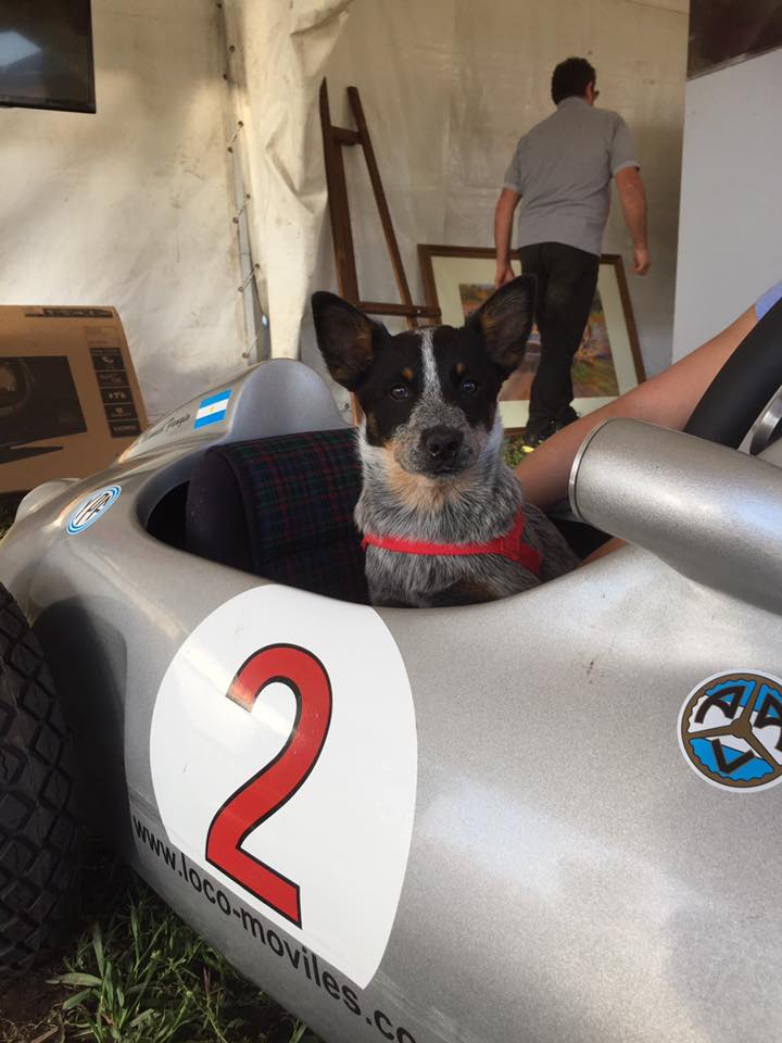 21766804_741156829416950_1984666048431490033_n