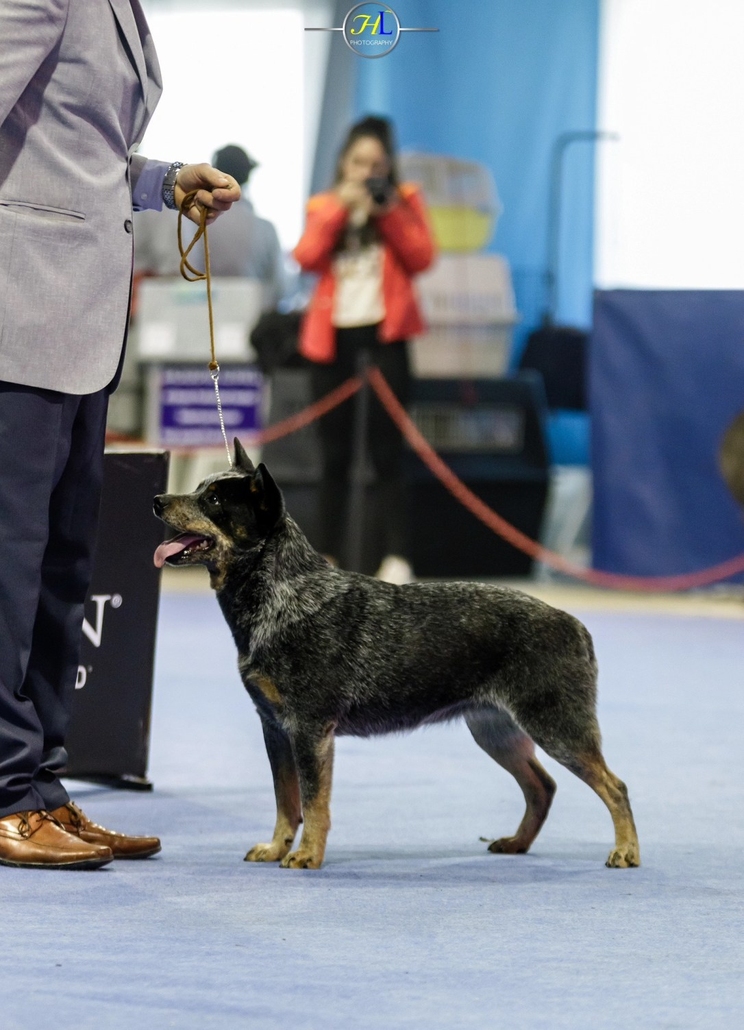 21886620_1494932607241597_145346010_o