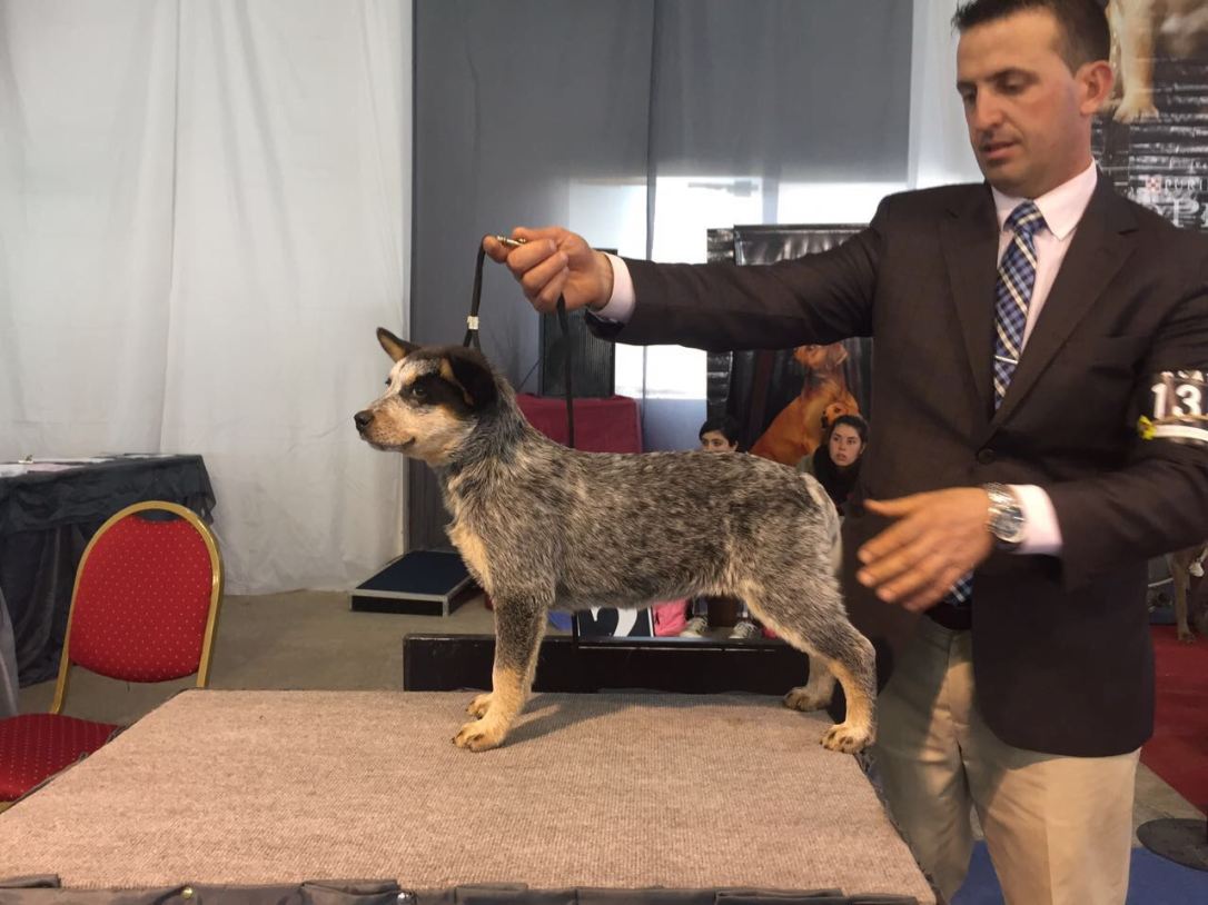 WhatsApp Image 2017-09-17 at 21.03.02