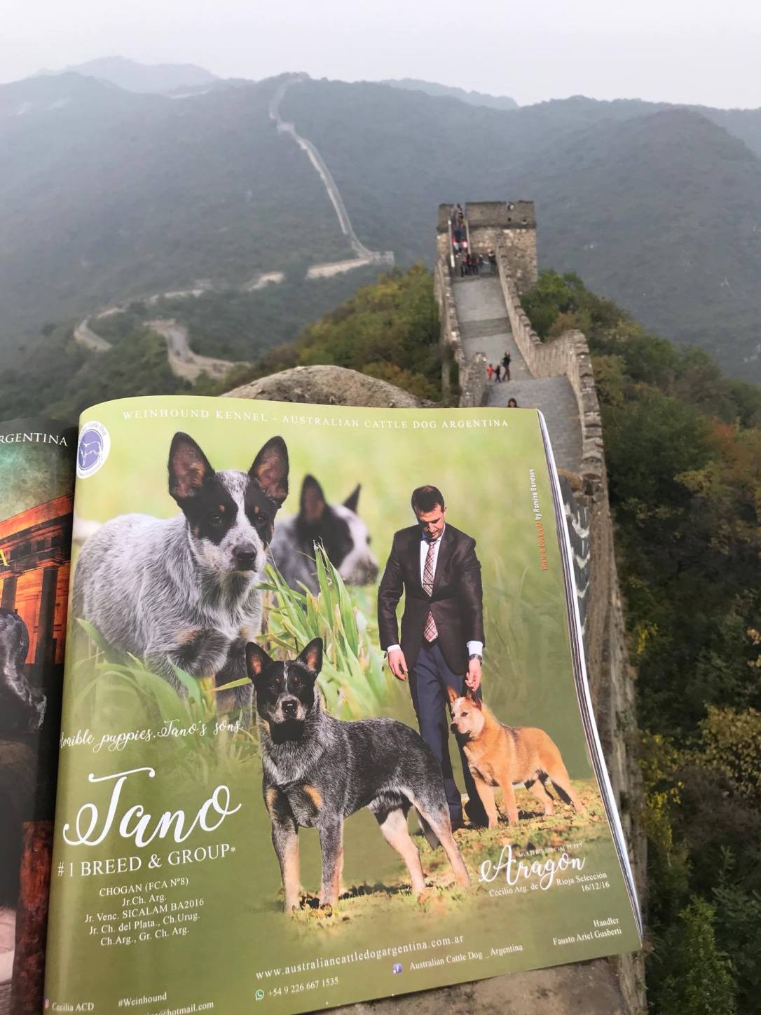 22553819_10213901042738346_97709046_o