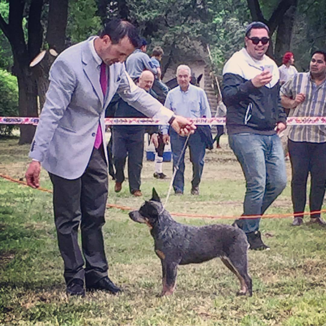 23157027_1968197433421496_7911615203001228416_o