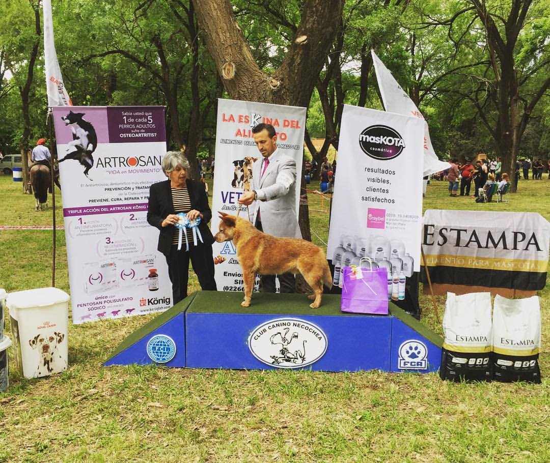 23213452_1968199980087908_6940654135163841750_o