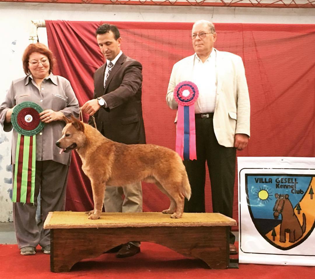 23415506_1971790413062198_4730207146882470917_o