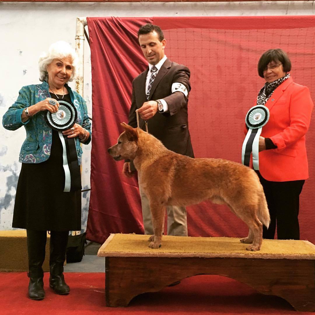 23467217_1971917559716150_6067455232877803989_o