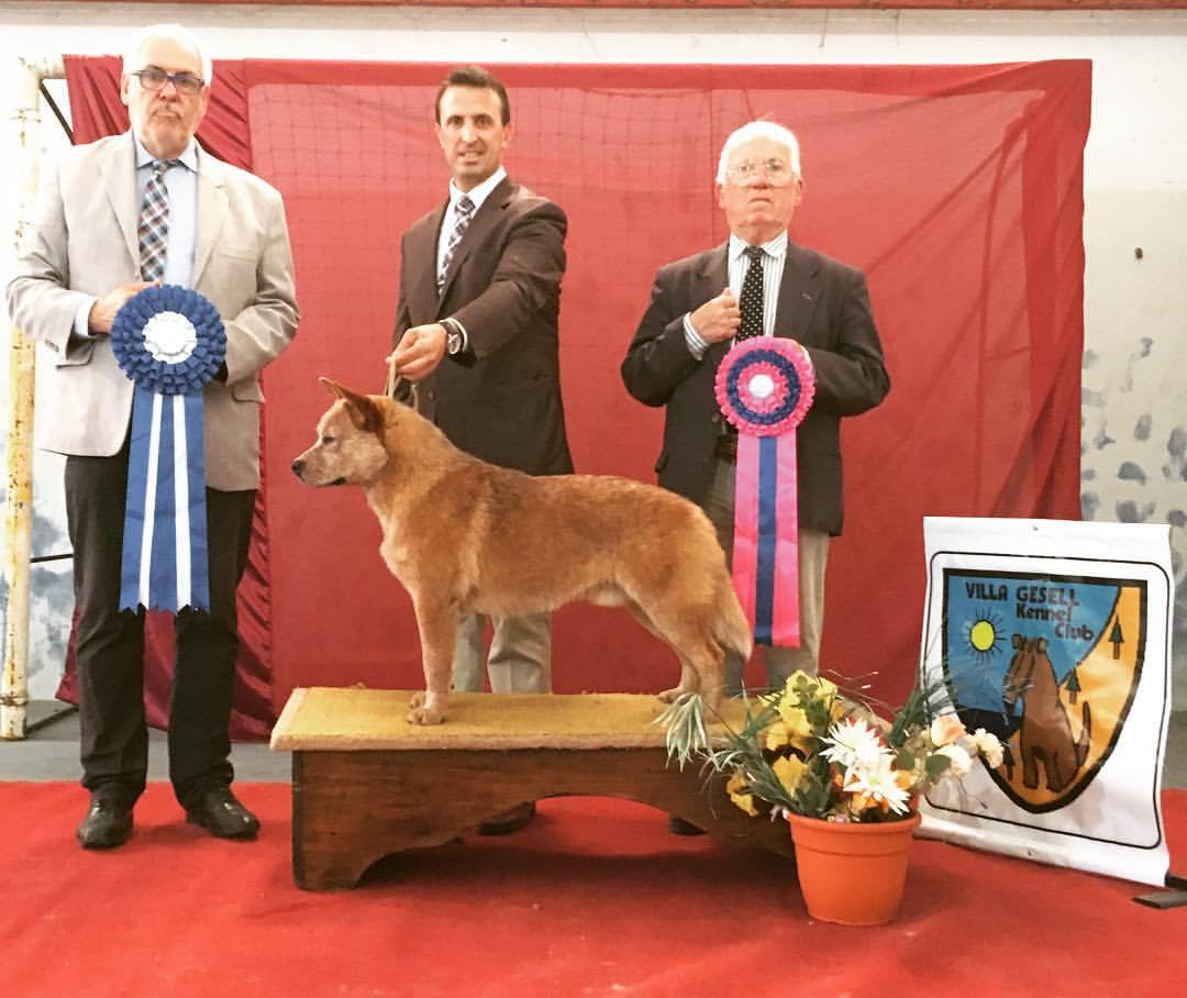 23550346_1971916643049575_4050185985733023085_o