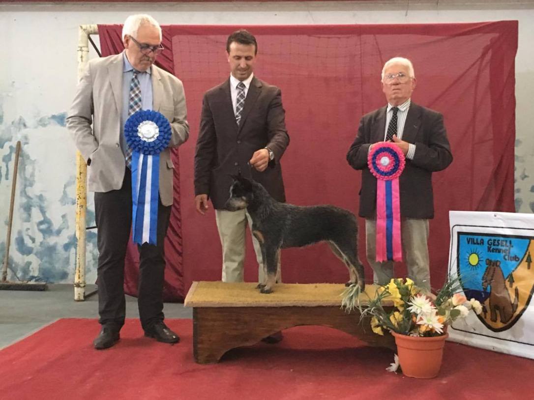 23555516_1971933459714560_653992229_o