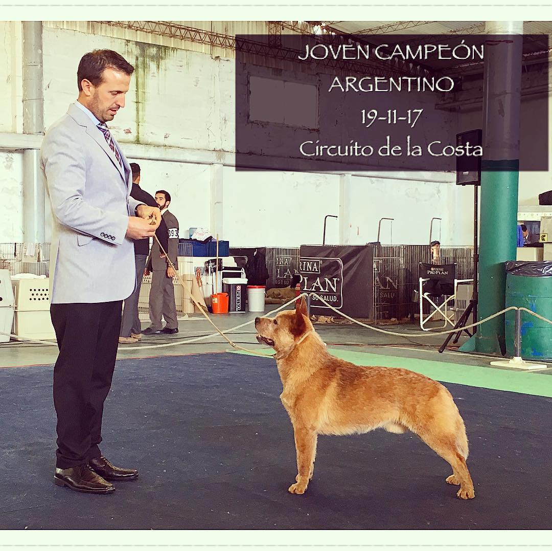 23674994_1975031486071424_1520767938254885976_o