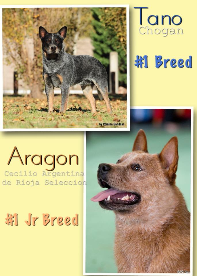 23915709_771950976337535_8542814098332571448_n