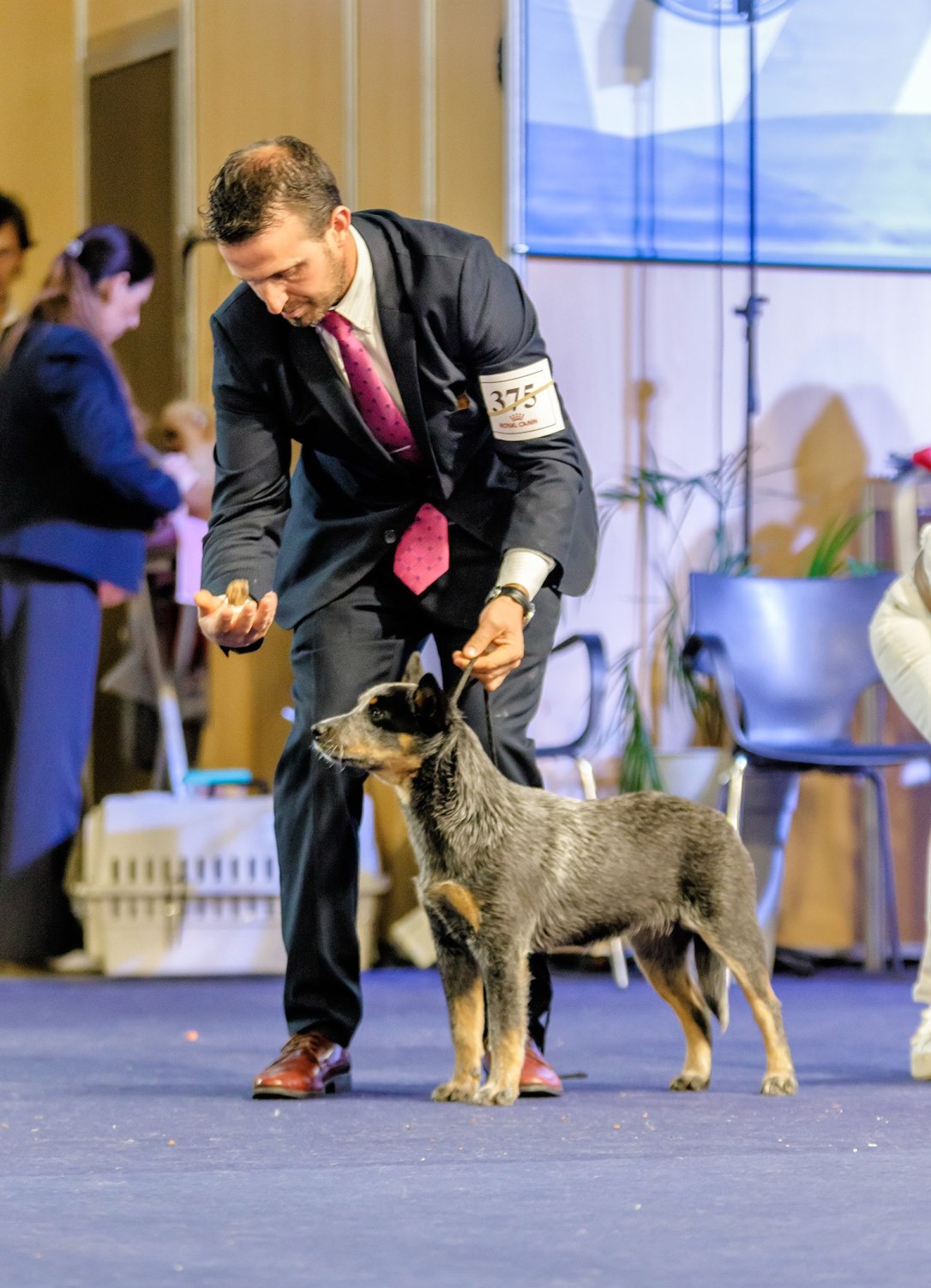 24169674_1561239647277559_2135638501_o