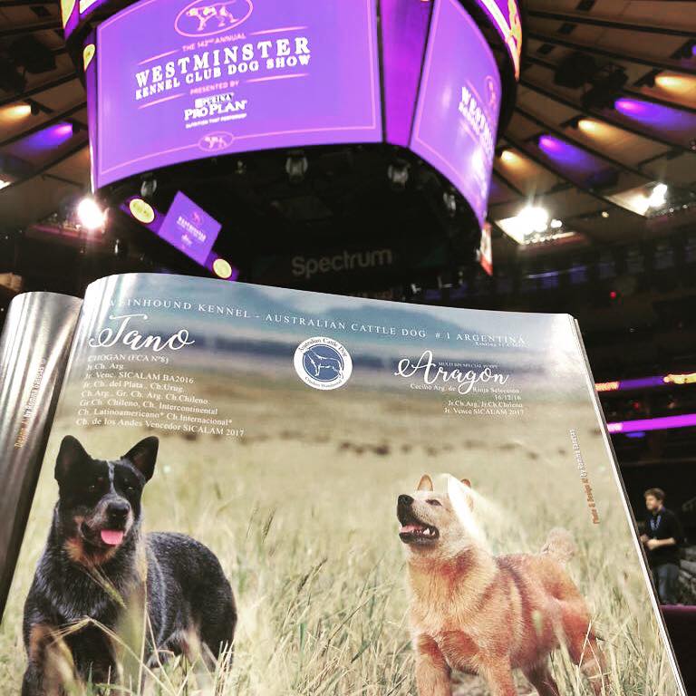 27750192_811512722381360_6335556392751156447_n