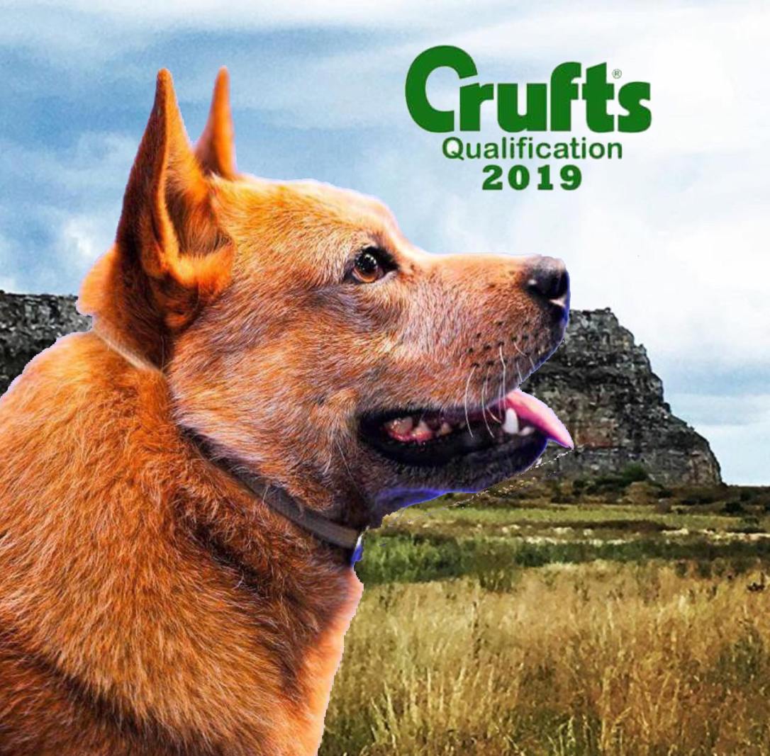 30174310_2044137672494138_1970388484_o