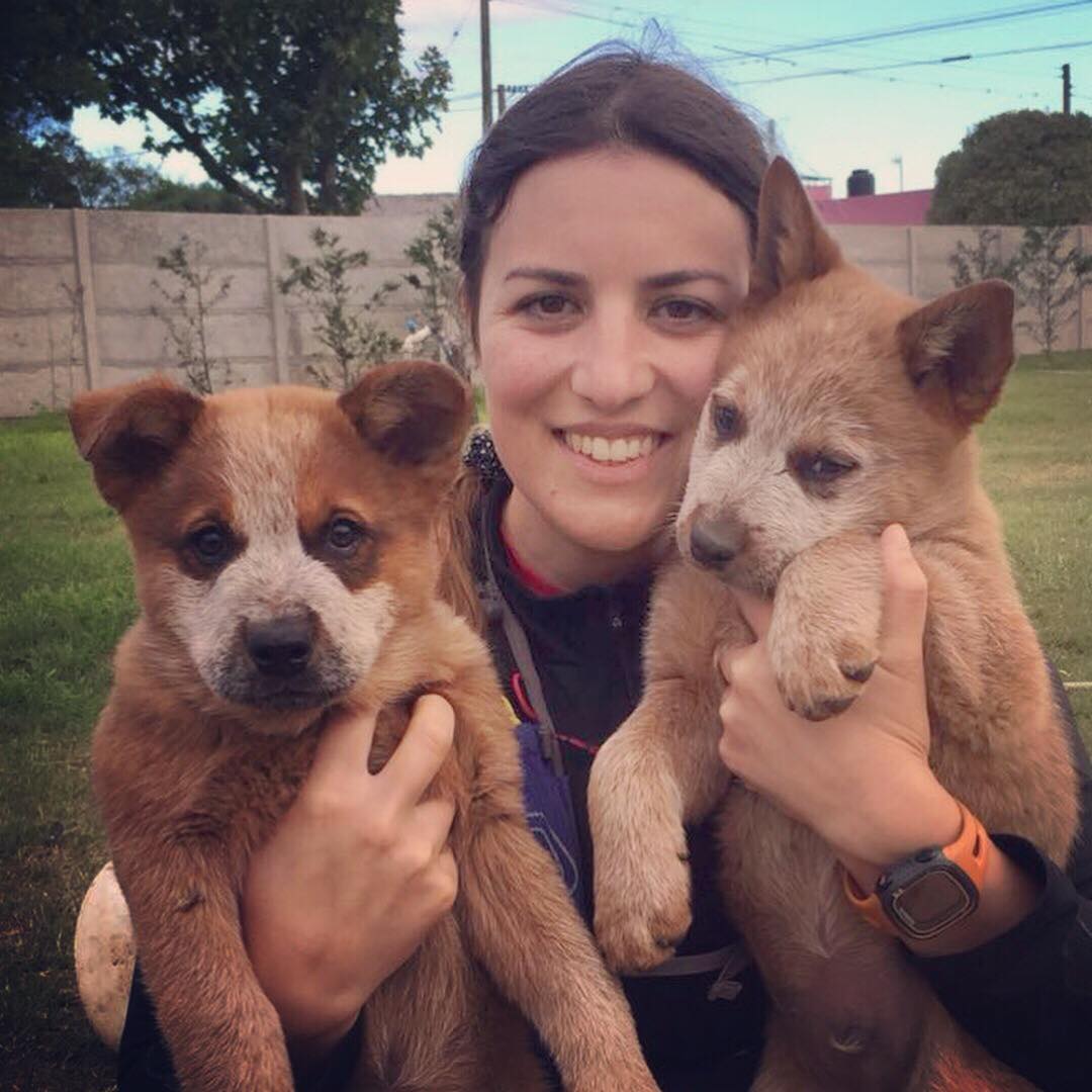 31946371_2055457521362153_6372431831635066880_n