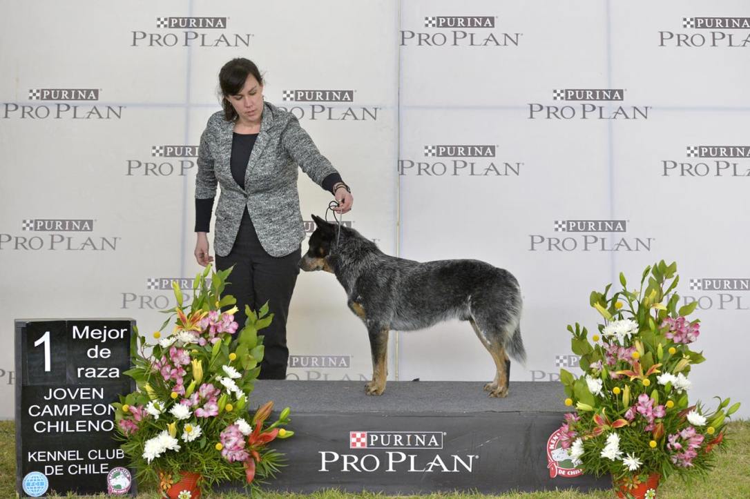 36295903_1750282091708076_1139439314501894144_n