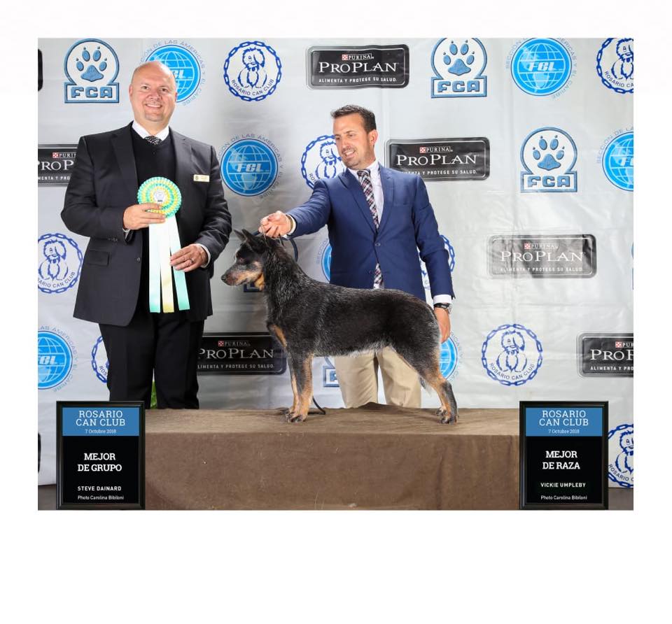 43485897_977387542460543_8384609823534088192_n