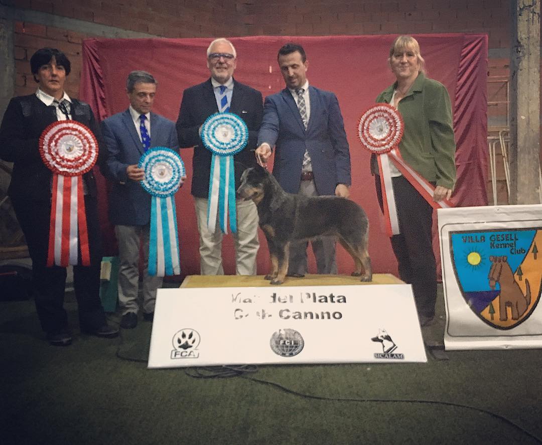 44894260_988794961319801_4381886176961757184_o