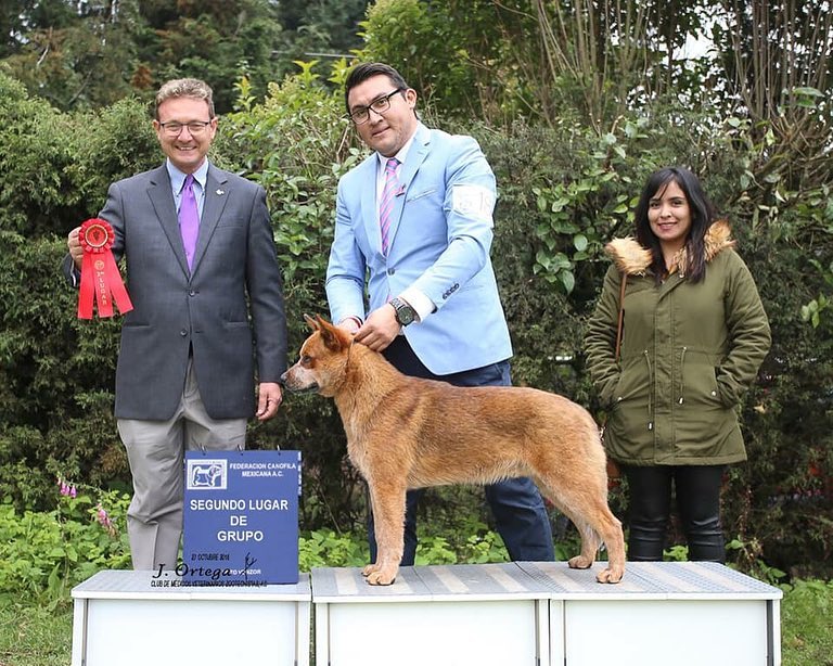 45008463_989095724623058_1908454677729509376_n