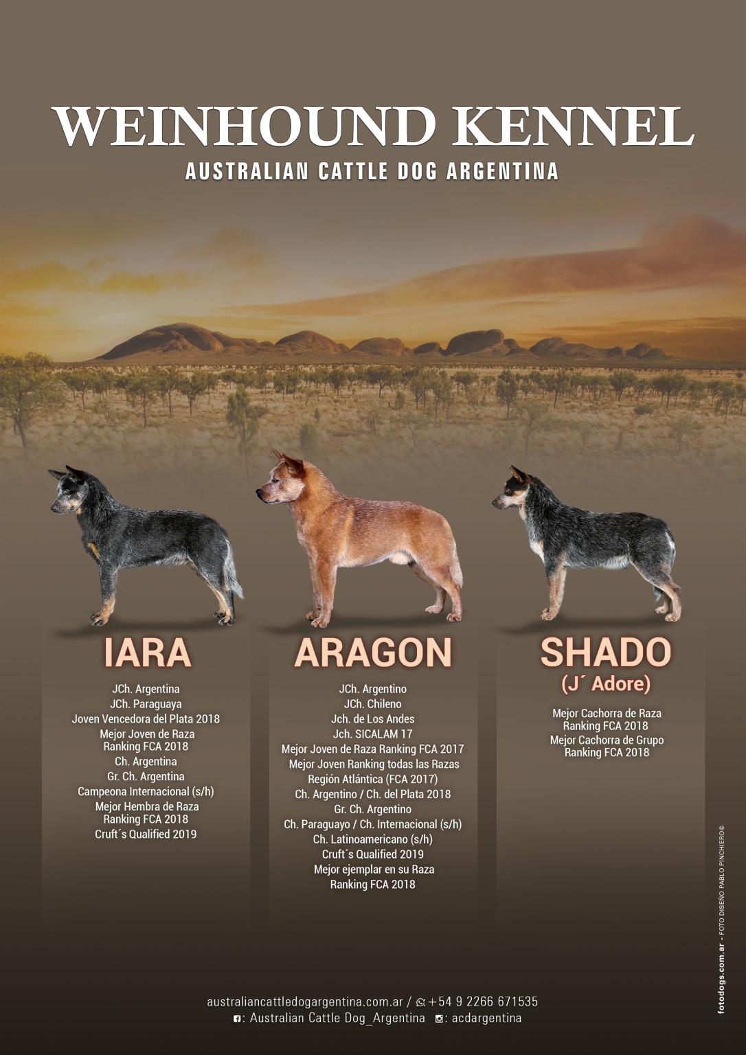 Publicidad ACD-Arg 3-2