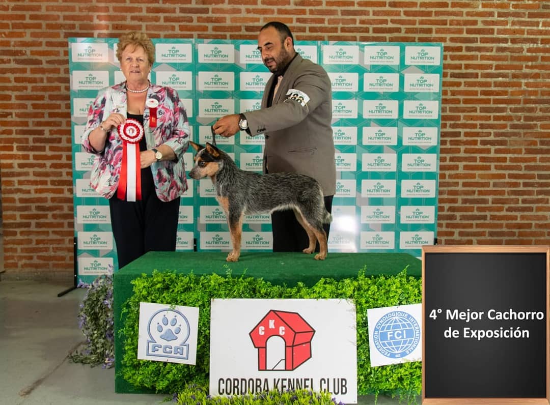 53489146_1068694013314207_5862922189182861312_o