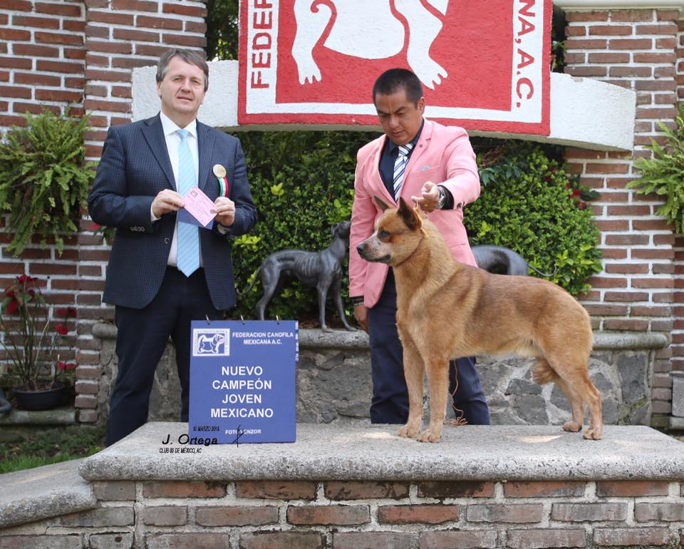 53621271_1073543206178309_404766814715772928_n