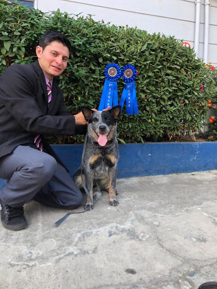 56472416_1087600211439275_1952246361848020992_n