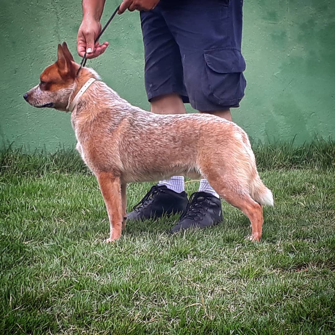 59362542_2470006199893515_1408759520879968256_o