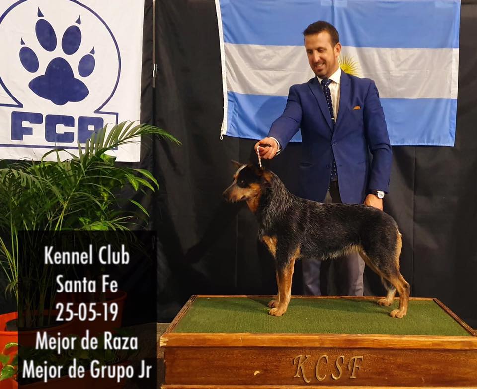 60895436_1123227954543167_6666029486682669056_n