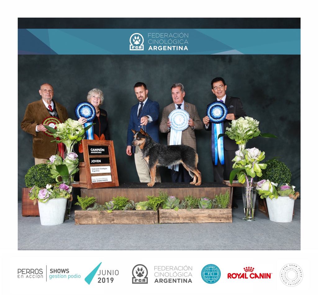 65622076_352483282085241_5324838786440364032_n