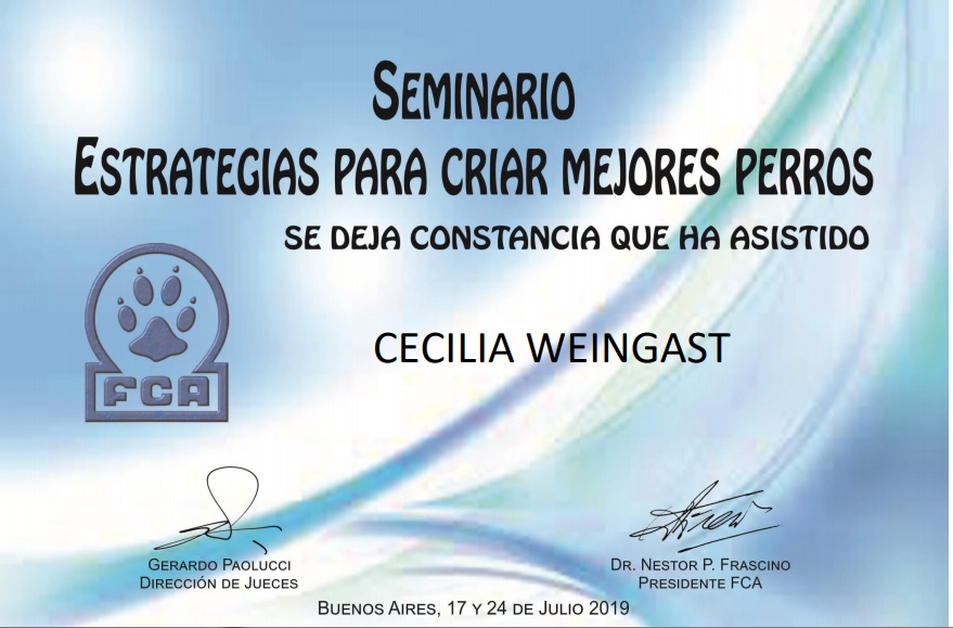 Estrategias para criar mejores perros