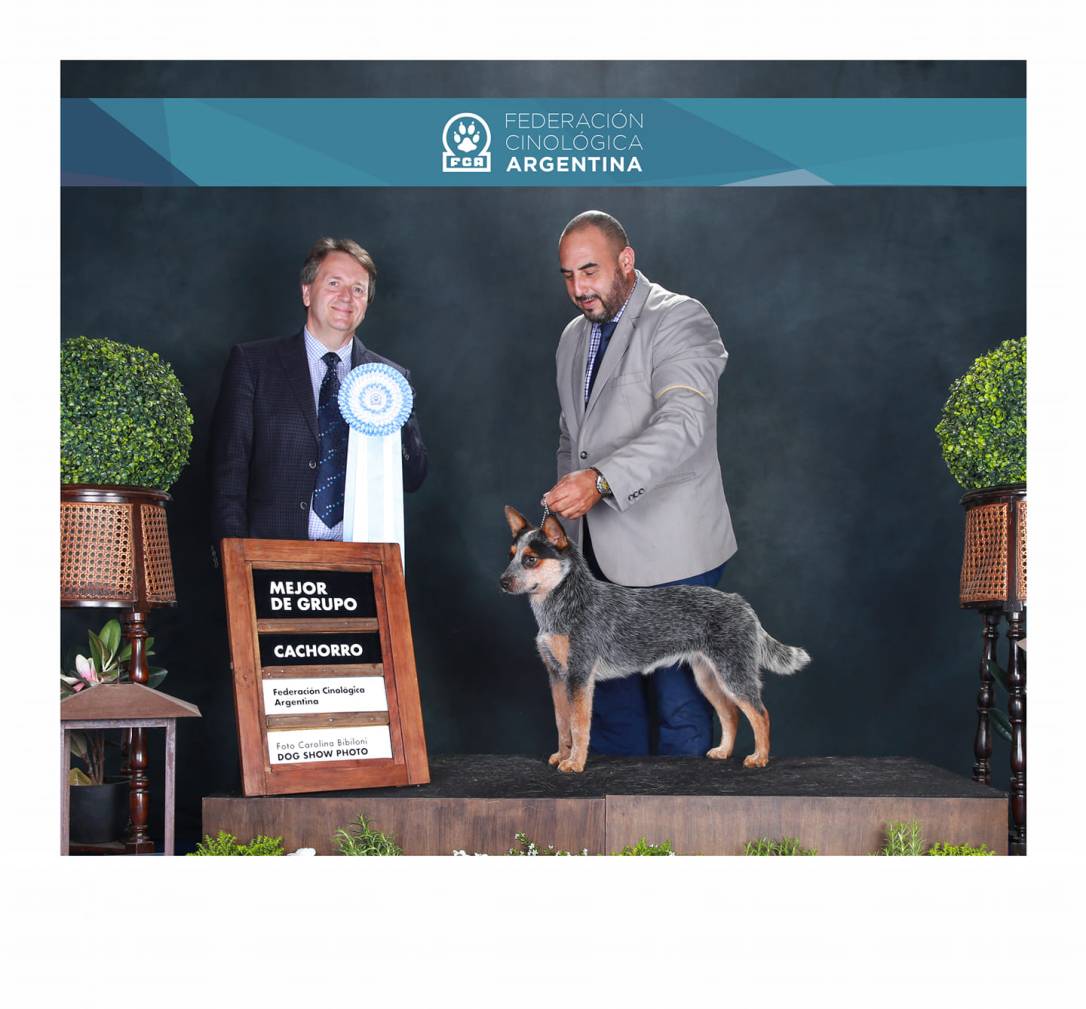 56325308_1081882791995329_2400389150797725696_o